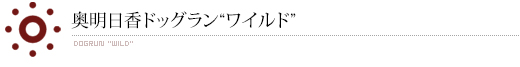 奥明日香ドッグラン“ワイルド”